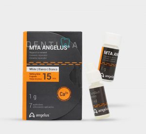 MTA Angelus