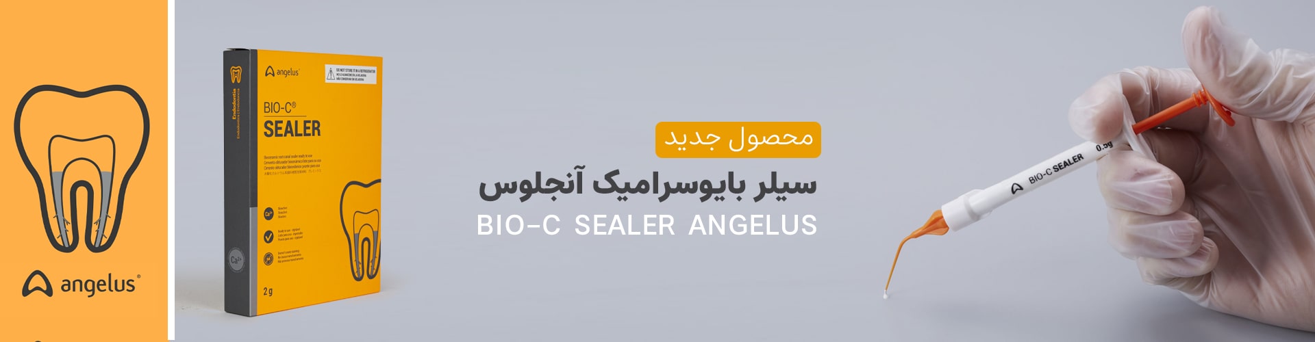 angelus banner desktop-min